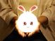 Детский силиконовый ночник 3DTOYSLAMP Кролик Артикул: 540145100 фото 3