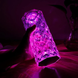 Настольная лампа, проектор, светильник ,RGB Crystal Rose Ambience Артикул: G456321 фото 3