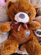 Качественная плюшевая игрушка Бурый медведь Коричневый, Медведь с пледом Артикул: OS12451020 фото 4