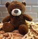 Качественная плюшевая игрушка Бурый медведь Коричневый, Медведь с пледом Артикул: OS12451020 фото 3