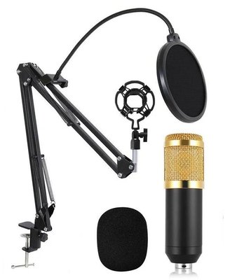 Студийный микрофон M-800, профессиональный микрофон Артикул: sp25686231 фото