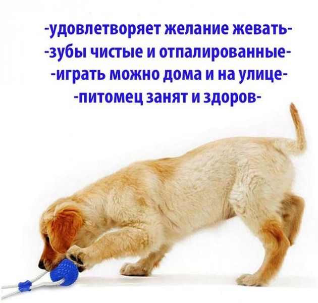 Многофункциональная игрушка для собак канат на присоске с мячом Артикул: mu2220144 фото