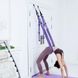 Гамак-резинка для йоги 521-12 Фиолетовый Артикул: 20500000040 фото 4