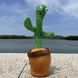 Танцюючий кактус співаючий 120 пісень з підсвічуванням Dancing Cactus TikTok іграшка Повторюшка кактус ws24354 фото 37