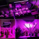 Светодиодная фитолампа Grow Light для выращивания растений, рассады Полный спектр 3 головы Артикул: Grow3 фото 5