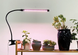 Светодиодная фитолампа Grow Light для выращивания растений, рассады Полный спектр 1 голова Артикул: Grow1 фото 1